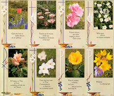 Garden - 8 Card Series