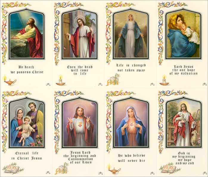 Immaculate - 8 Card Series